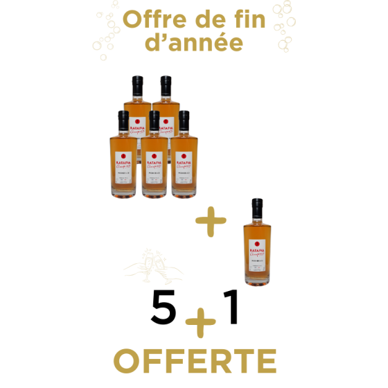 Offre de fin d'année pack 5+1