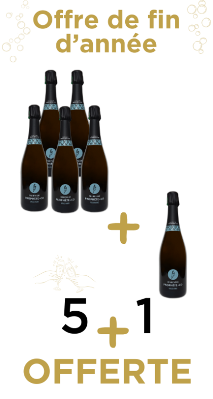 Offre de fin d'année pack 5+1