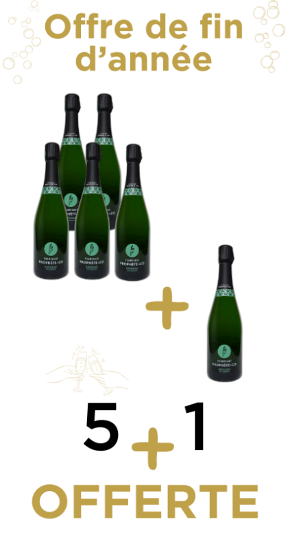 Offre de fin d'année pack 5+1