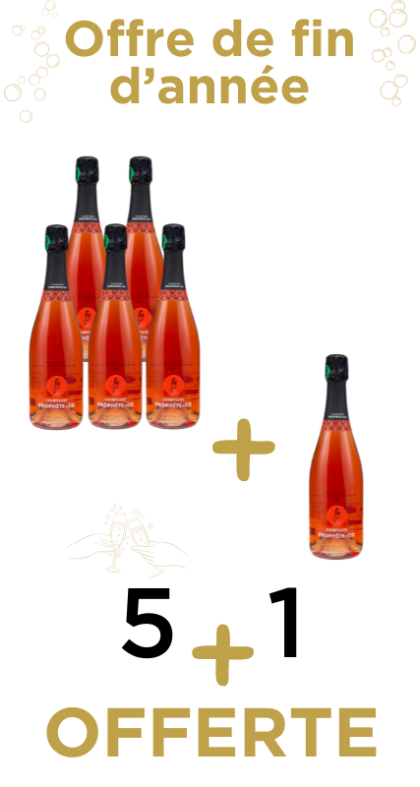 Offre de fin d'année pack 5+1